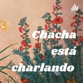 Chacha está charlando
