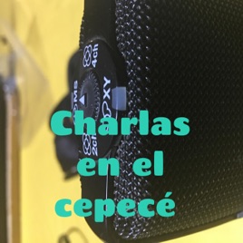 Charlas con artistas admirados