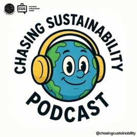 Chasing Sustainability