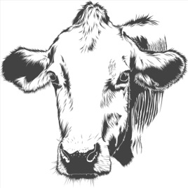 Chechero Agriculture Podcast