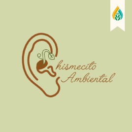 Chismecito Ambiental