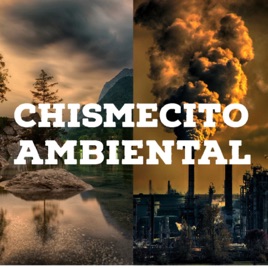 Chismecito ambiental