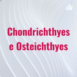Chondrichthyes e Osteichthyes