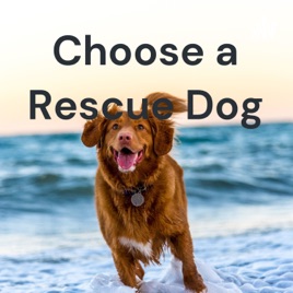 Choose a Rescue Dog