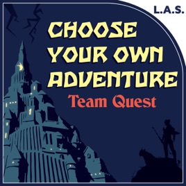 Choose Your Own Adventure: Team Quest