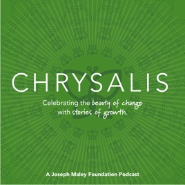 Chrysalis