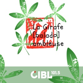 CIBL 101.5 FM : La Girafe Ambleuse