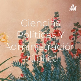 Ciencias Políticas Y Administración Pública