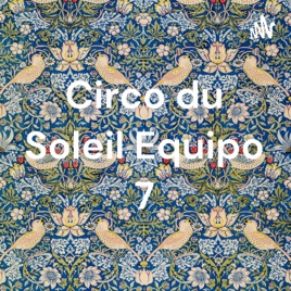 Circo du Soleil Equipo 7