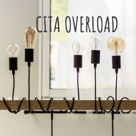 CITA OVERLOAD ⚡