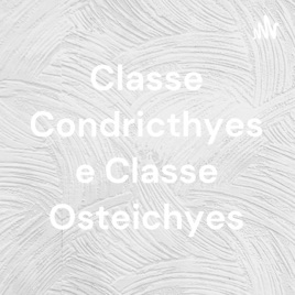 Classe Condricthyes e Classe Osteichyes