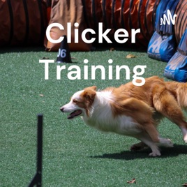 Clicker Training