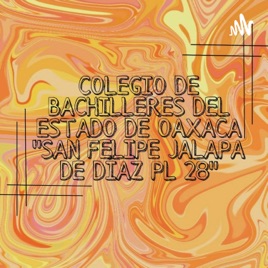 COBAO PL. 28 "UNA GRAN FAMILIA"