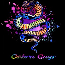 Cobra Guys: A Cobra Kai Podcast