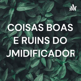 COISAS BOAS E RUINS DO UMIDIFICADOR