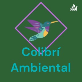 Colibrí Ambiental