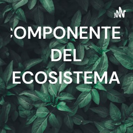 COMPONENTES DEL ECOSISTEMA