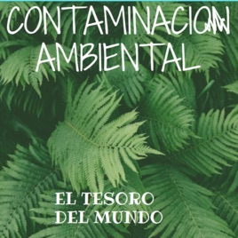 Comtaminación Anbiental