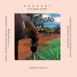 Comunicação Institucional e Publicitária