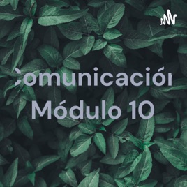 Comunicación Módulo 10