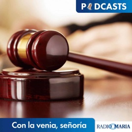 Con la venia, señoría