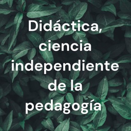 Concepciones acerca de lo que es pensamiento crítico y relaciones con el proyecto de investigación.