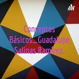 Conceptos Básicos_Guadalupe Salinas Ramírez.