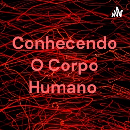 Conhecendo O Corpo Humano