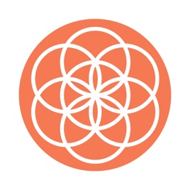 Conscious Holistic Investing Podcast