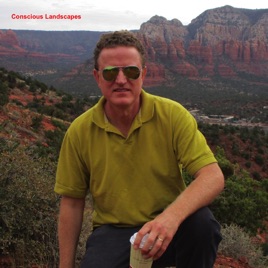 Conscious Landscapes