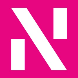 Consulting with Newton Europe