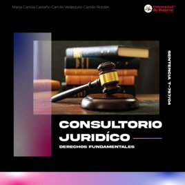 CONSULTORIO JURIDICO UDEM EP.1: SENTENCIA T 787 2004