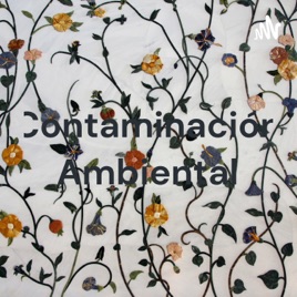 Contaminación Ambiental - Karol Boza