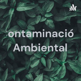 Contaminación Ambiental