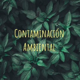 Contaminación Ambiental
