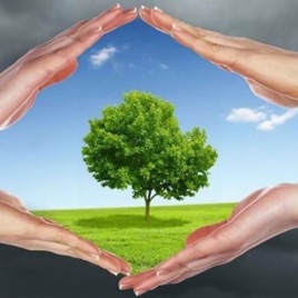 Contaminación