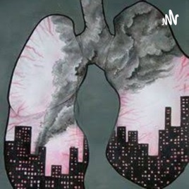 Contaminacion Del Aire