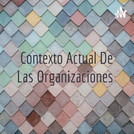 Contexto Actual De Las Organizaciones