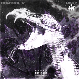 ControlV-Hustın