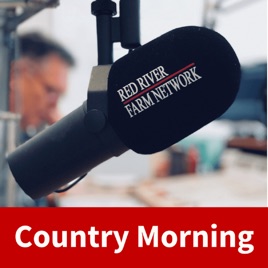 Country Morning
