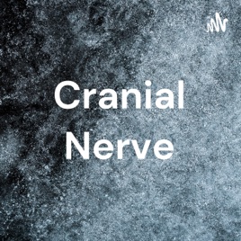 Cranial Nerve
