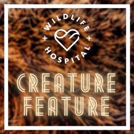 Creature Feature