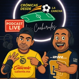 Cronicas Desde la Cancha