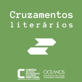 Cruzamentos literários