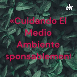 «Cuidando El Medio Ambiente Responsablemente»