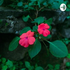 Curhat Versi Podcast