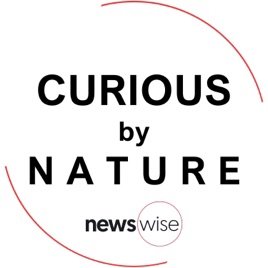 Curious by Nature