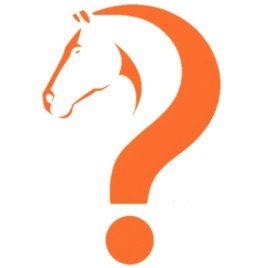 Curious Equestrian