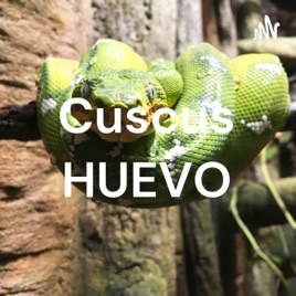 Cuscus HUEVO