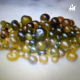 Cushuro, Alga Milagrosa